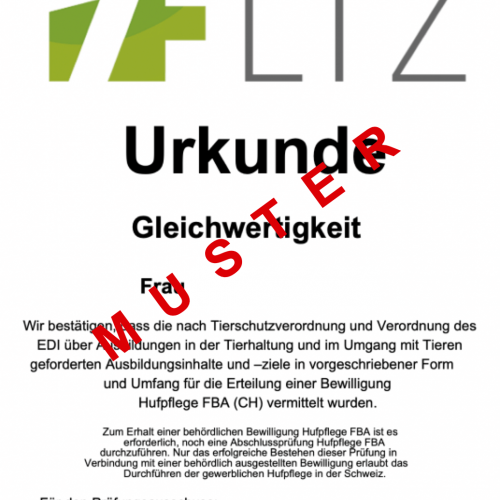 Bildschirmfoto 2025-10-07 um 11.19.18